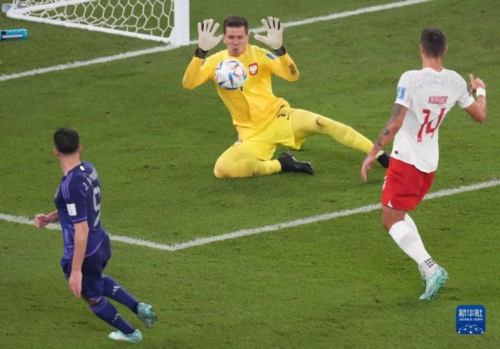 波兰队完胜日本队，王皓带队取胜